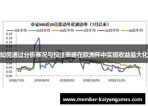 如何通过分析赛况与投注策略在欧洲杯中实现收益最大化